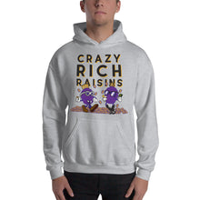 Load image into Gallery viewer, Movie The Food - Crazy Rich Raisins Hoodie - Heather Grey - Model Front